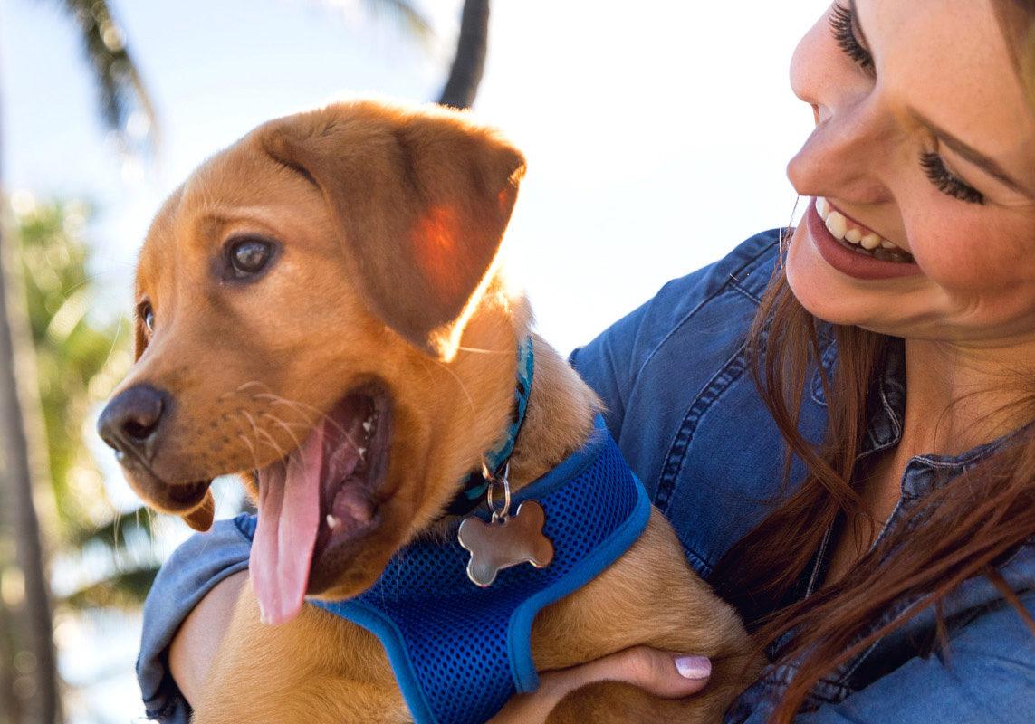 Smiling woman holding a happy puppy in a blue harness in Clearwater, FL