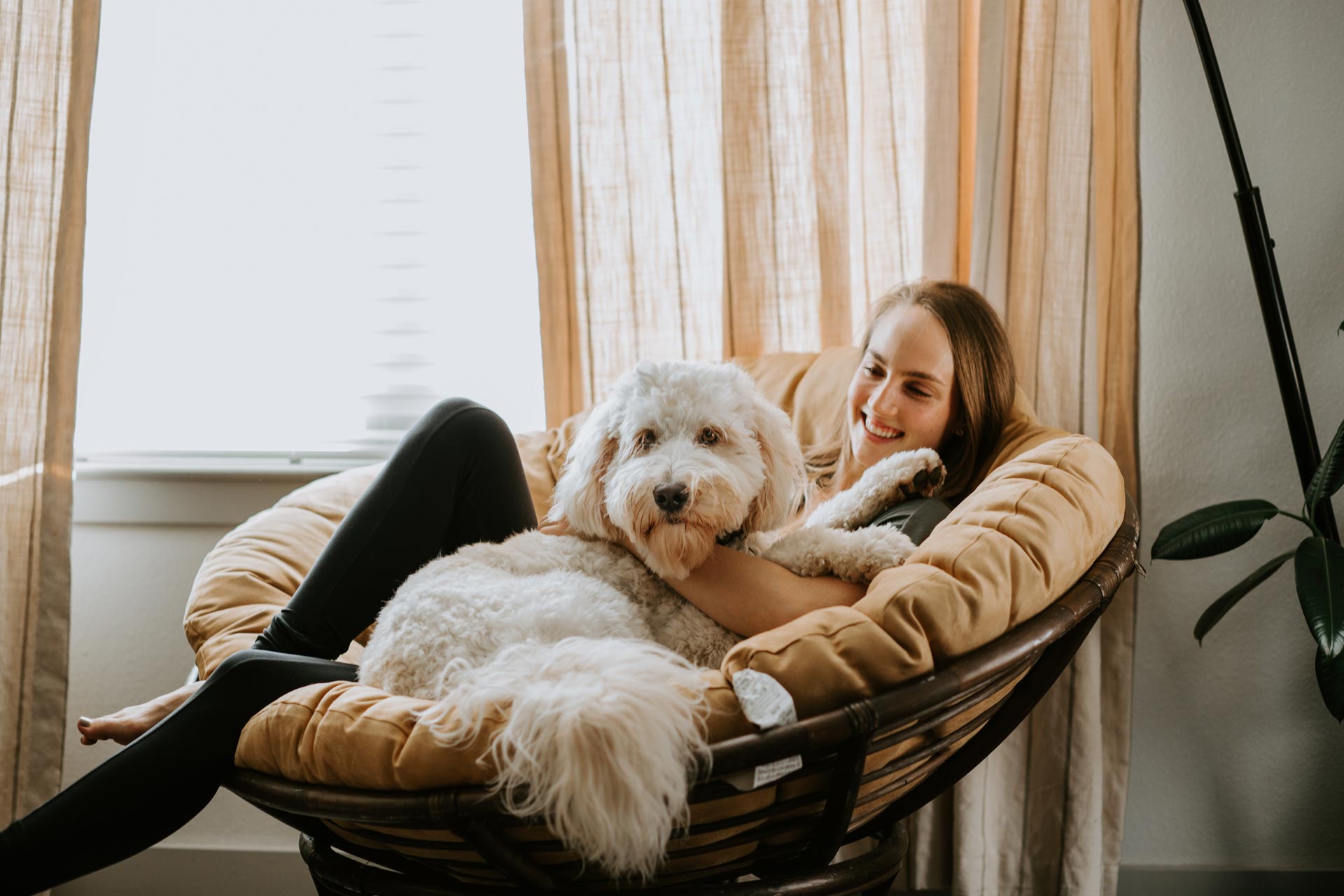 Woman relaxing in a chair with her white doodle in Clearwater, FL