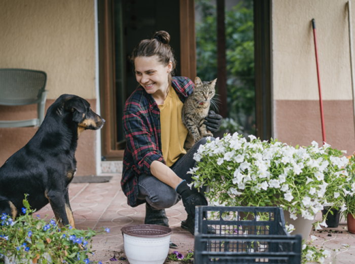 Hidden Hazards in Your Backyard: Keeping Cats and Dogs Safe Outdoors