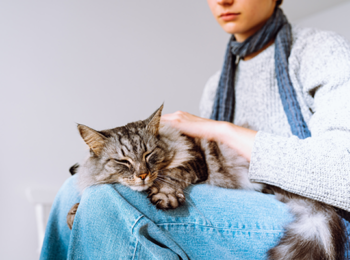 Early Signs of Cancer in Pets Every Owner Should Know
