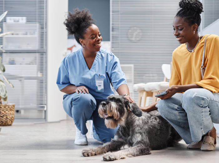 The Gentle Revolution of Veterinary Behavior: Honoring Sophia Yin and Veterinary Behaviorists