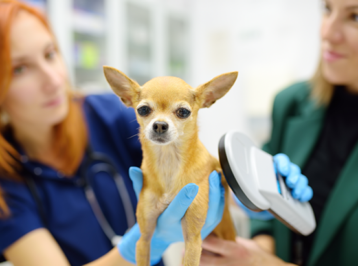 A Shared Mission: Protecting Pets