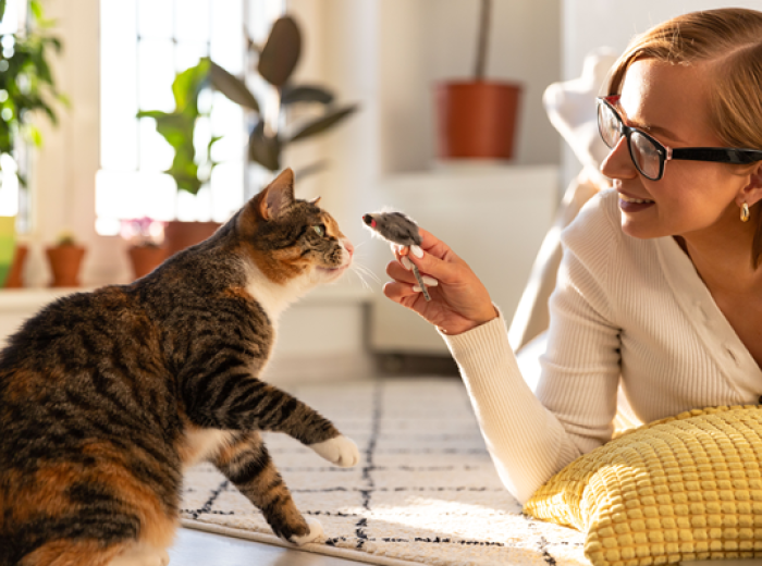 June 4 is Hug Your Cat Day? Your Cat Might Prefer a Different Love Language