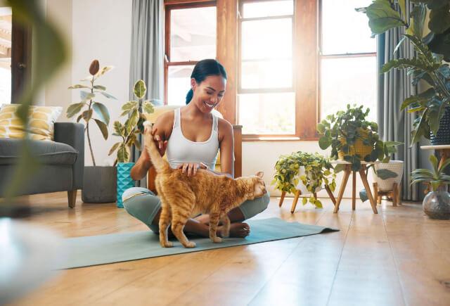 Holistic Care & Chinese Herbal Medicine